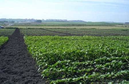 Preparación y manejo de los equipos para efectuar cuidados culturales en agricultura