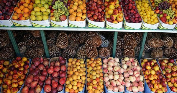 Métodos de control de plagas en horticultura y floricultura