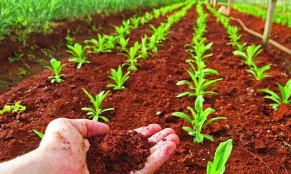 Los suelos como soporte de la acción de los equipos de preparación del suelo en agricultura