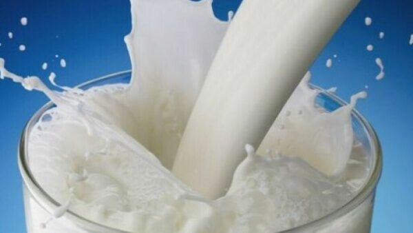 Recepción de materias auxiliares en las industrias lácteas