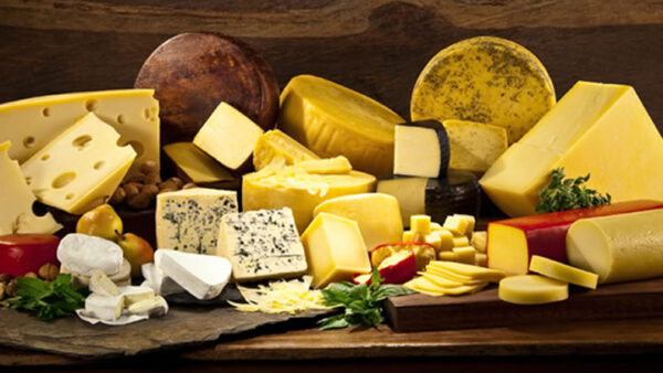 Procesos y métodos de maduración de los quesos