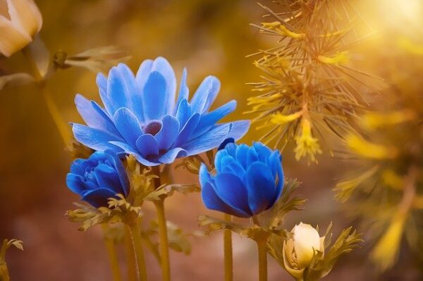 Limpieza y mantenimiento básico de las instalaciones de floristería