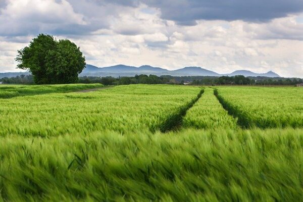 Funcionamiento de las máquinas agrícolas de accionamiento y tracción