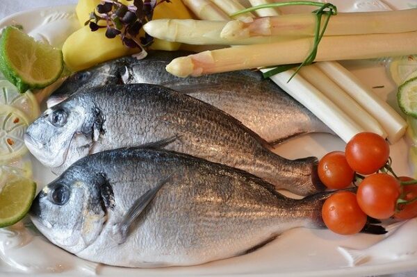 Maquinaria y equipos básicos de cocina utilizados en la preelaboración de pescados, crustáceos y moluscos