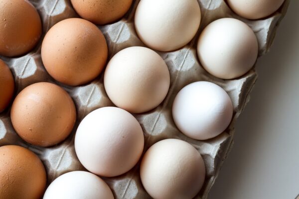 Calidad, recogida y clasificación de los huevos para consumo