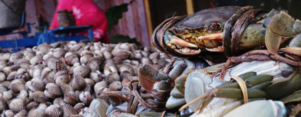 Área de preparación de la zona para pescados, crustáceos y moluscos