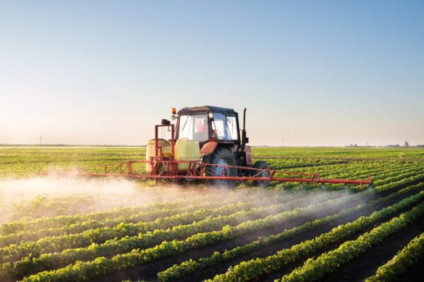 Normativa básica relacionada con las preparación del terreno y la plantación de frutales